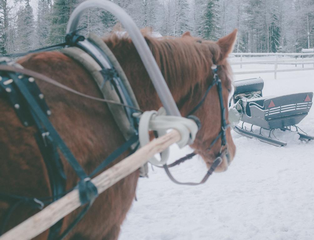 Petaejaekylae Villa Kuusamo Rum bild