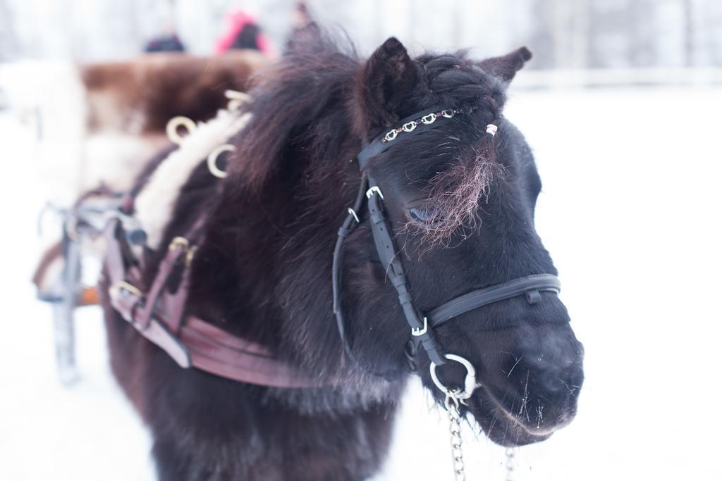 Petaejaekylae Villa Kuusamo Exteriör bild