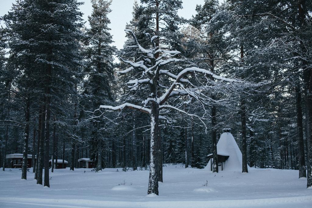 Petaejaekylae Villa Kuusamo Rum bild