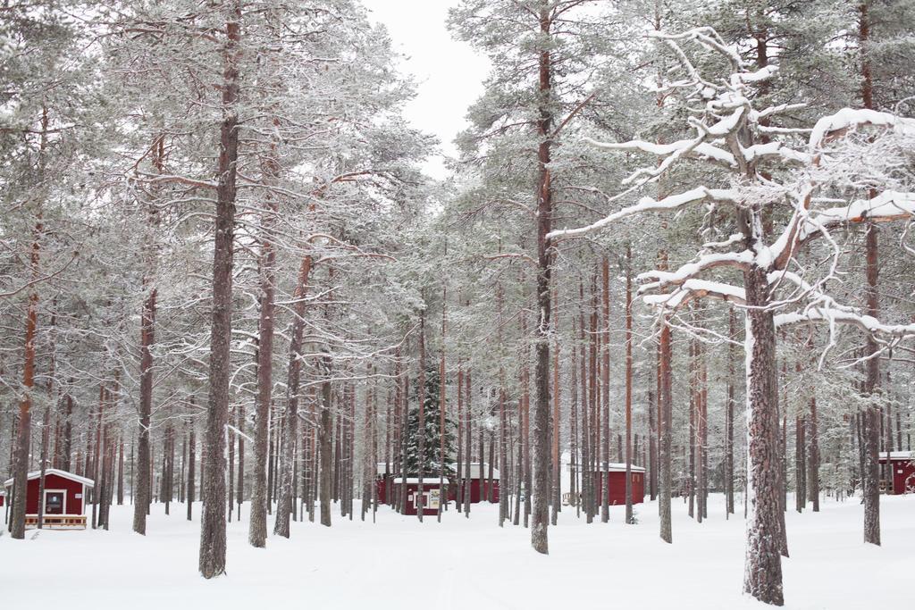 Petaejaekylae Villa Kuusamo Rum bild